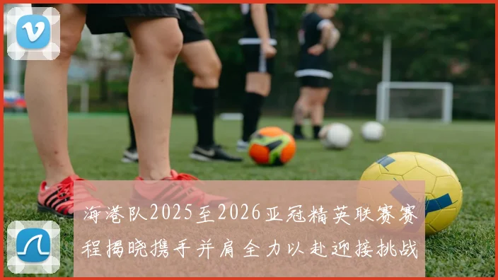 海港队2025至2026亚冠精英联赛赛程揭晓携手并肩全力以赴迎接挑战