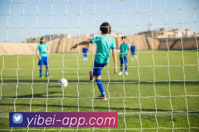 易倍体育发展历程